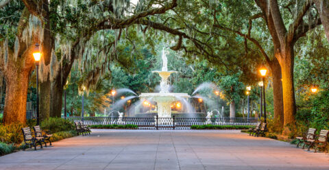 Plastic Surgeons Serving Savannah, GA, Bluffton SC & More. - Savannah